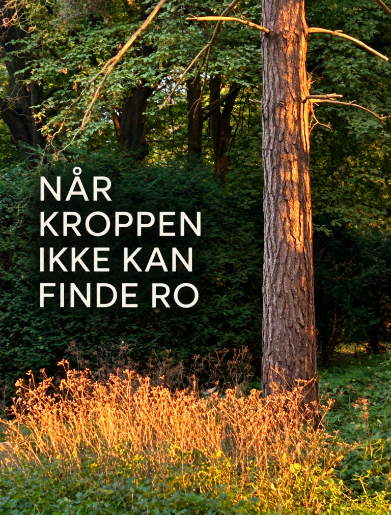 NÅR KROPPEN IKKE KAN FINDE RO