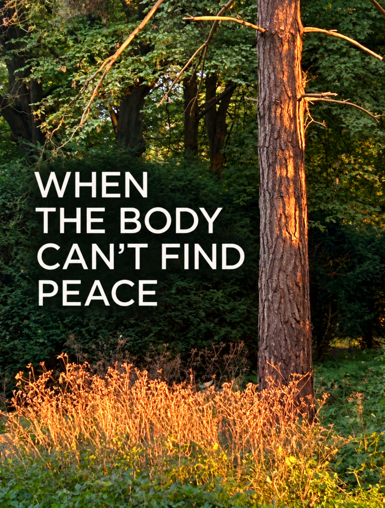 WHEN THE BODY CAN’T FIND PEACE